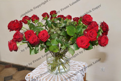 FLR_5454